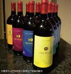 筑底·塑魂 國產葡萄酒的規模效益與中國塔基的鍛造之路